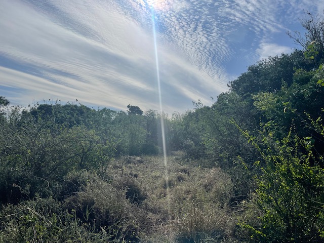 3 Bedroom Property for Sale in Summerpride Eastern Cape